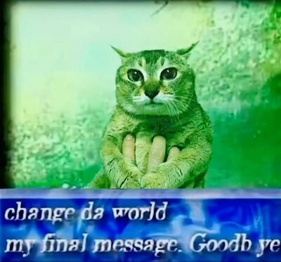 alien cat mei mei with the final message - change da world